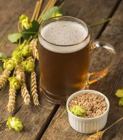 Chope de bière entourée de houblon et de malt, ingrédients naturels utilisés dans les bains du spa bière Houblonia à Langres